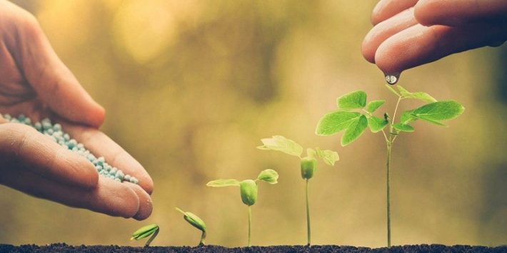 Lead nurturing para conseguir clientes cualificados