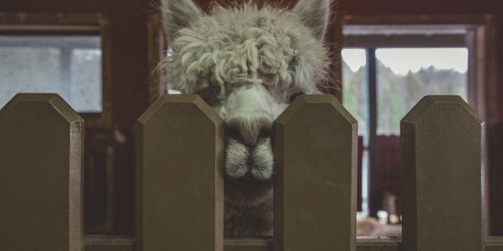 jp-valery-578948-unsplash