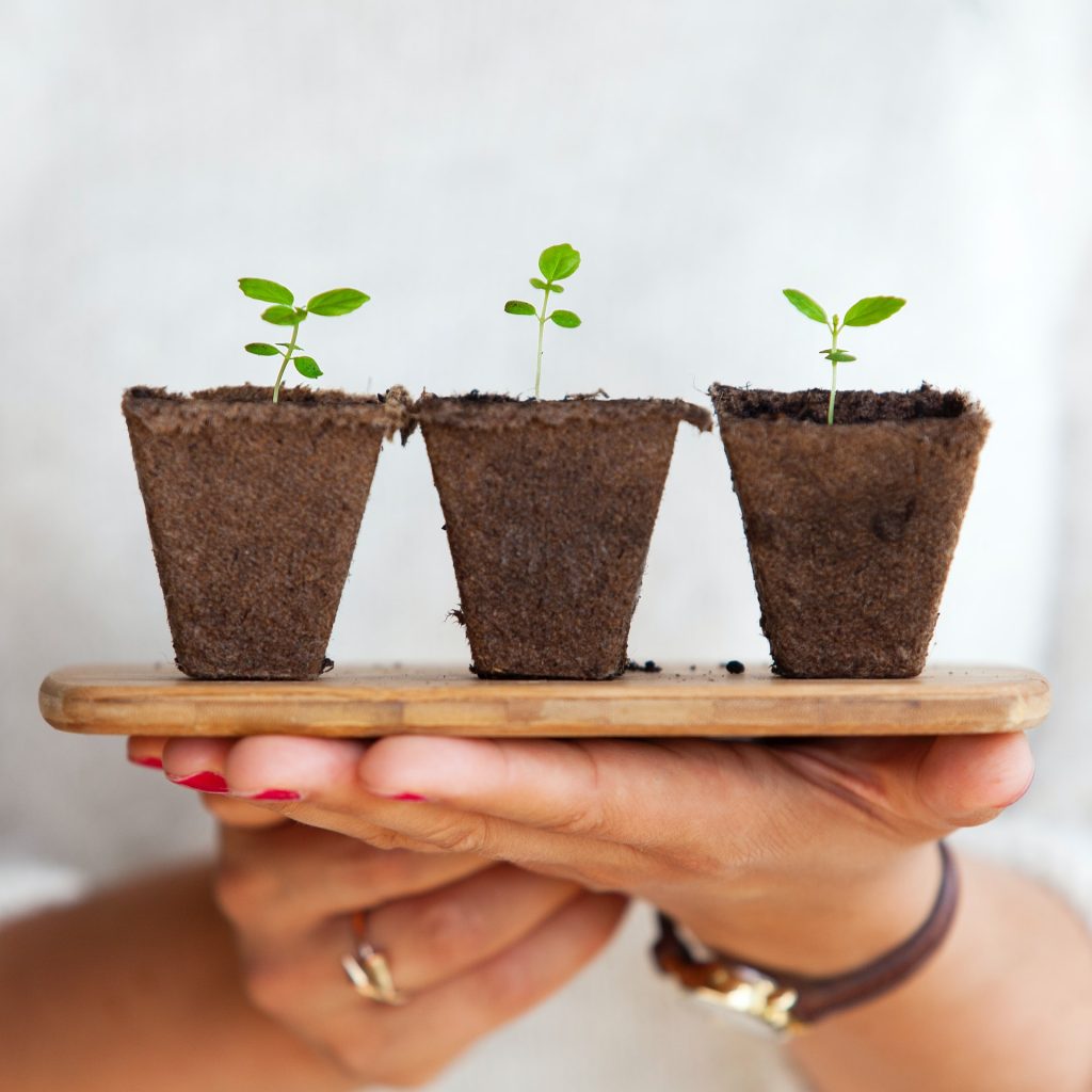 6 Resources You Can Use To Help Grow Your Business