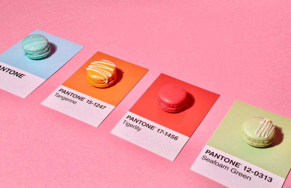 The Role of Color Psychology in Branding and Web Design