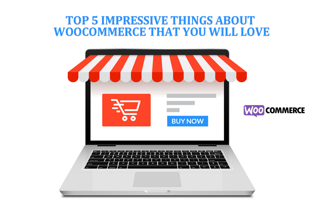 Top 5 Impressive Things About WooCommerce that You will Love