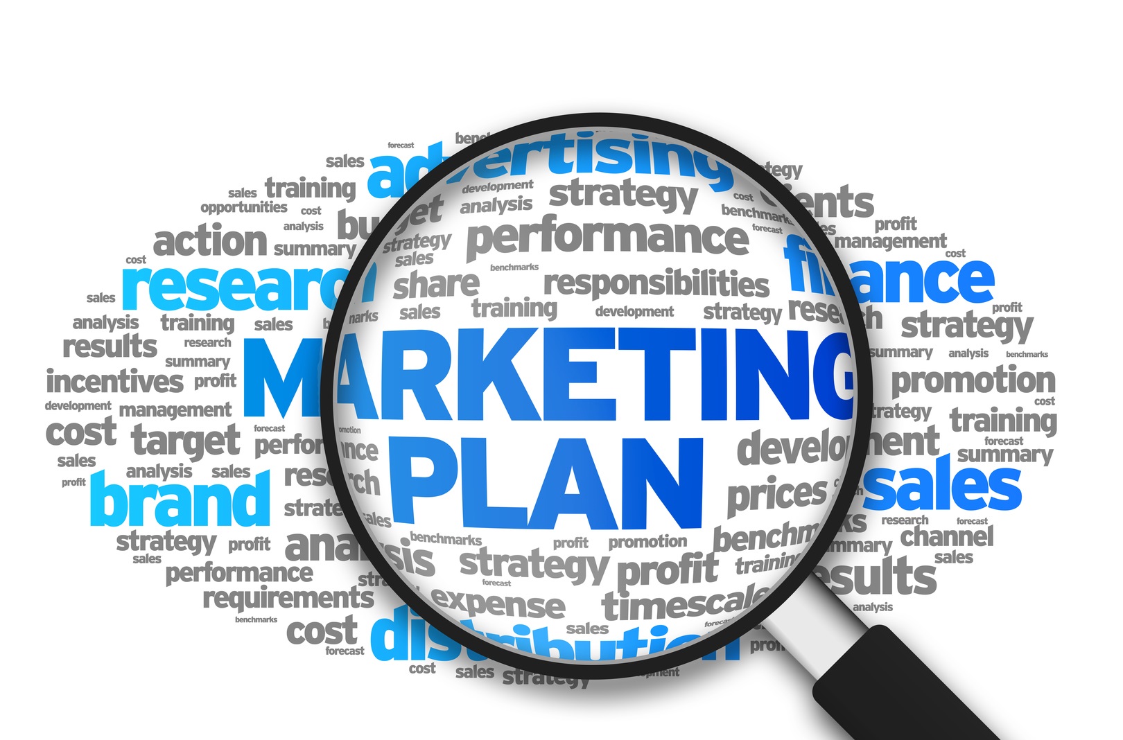 BUSN319 Marketing Plan Outline