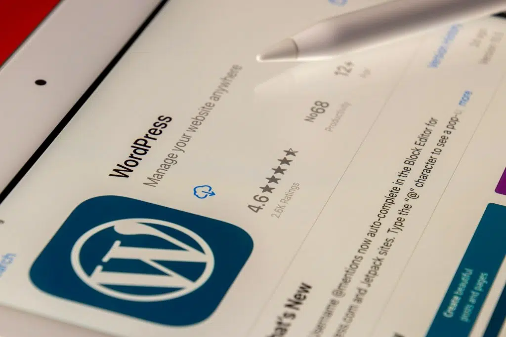 WordPress Developers for Custom Website Solutions